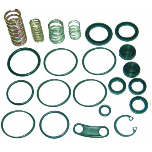 Control Valve Rep Kit