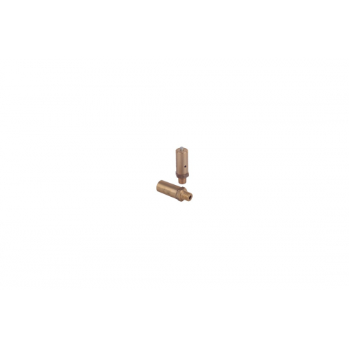 Safety Valve